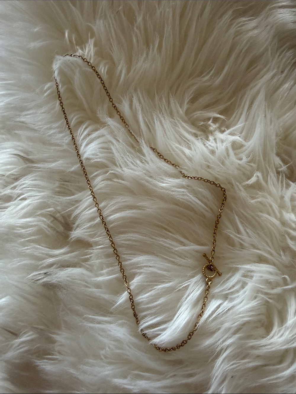 Lobster clasp gold necklace